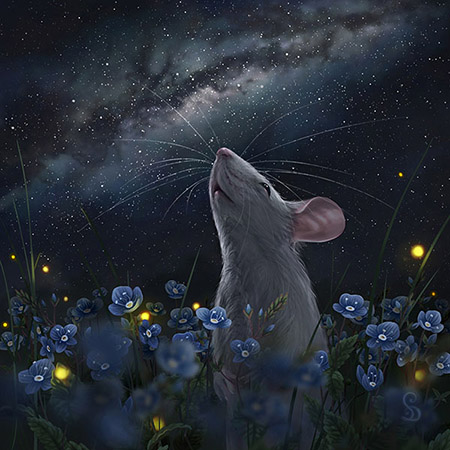 Stars Mouse (2020)